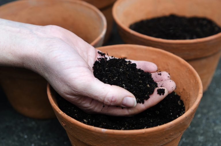 10 Soil Vs. Potting Mix Mistakes That Lead To Weak, Unhappy Plants