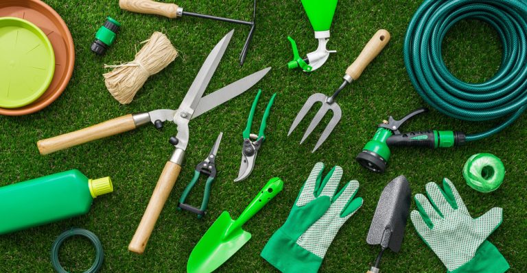 5 Gardening Tools Every Beginner Actually Needs (And 7 You Can Skip)