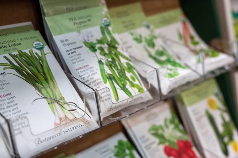 5 Seed Packet Clues Smart Gardeners Read First Before They Plant Anything