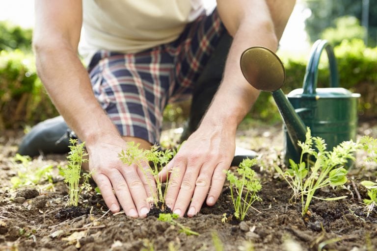 10 Easy Steps to Start Your First Garden Without Getting Overwhelmed